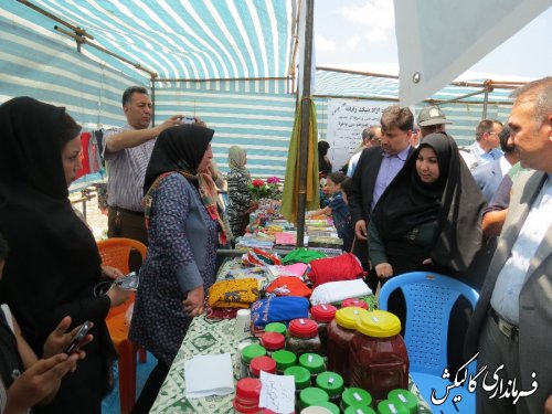 دومین جشنواره تابستانه شهرستان گالیکش به روایت تصویر