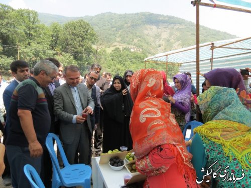 دومین جشنواره تابستانه شهرستان گالیکش به روایت تصویر