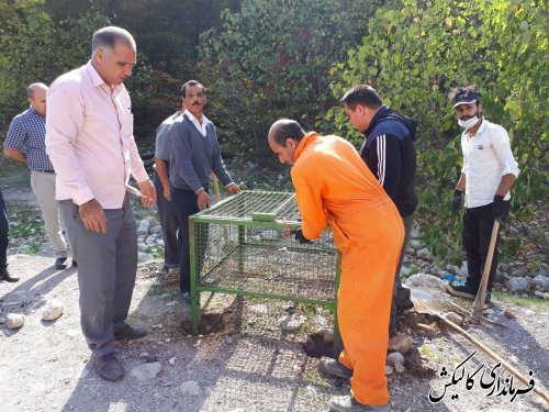 نصب ۱۲ عدد سبد زباله در حاشیه جاده پارک ملی گلستان 