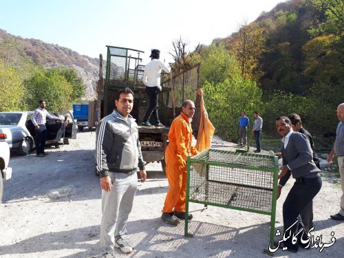 نصب ۱۲ عدد سبد زباله در حاشیه جاده پارک ملی گلستان 