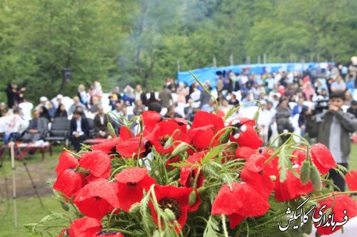 پنجمین جشنواره شقایق‌های استان گلستان در روستای «پادلدل» گالیکش برگزار شد.