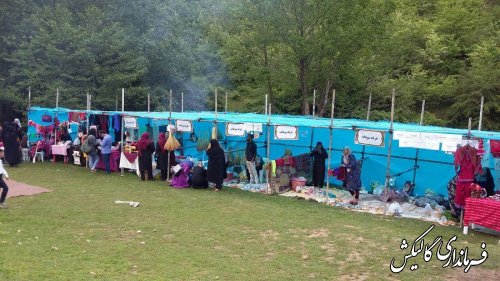 پنجمین جشنواره شقایق‌های استان گلستان در روستای «پادلدل» گالیکش برگزار شد.