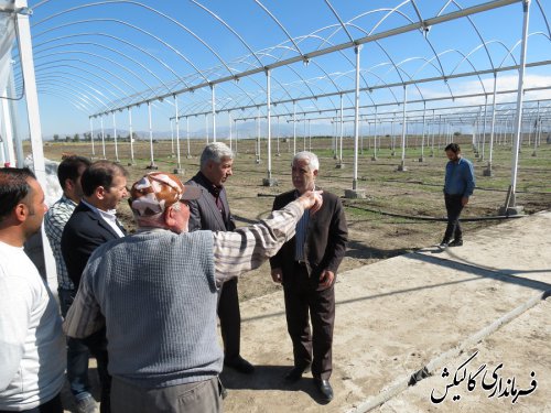 بازدید فرماندار گالیکش از پروژه احداث بزرگترین گلخانه یکپارچه گلستان