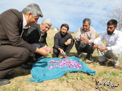 بازدید فرماندار گالیکش از روستای محروم سیجان