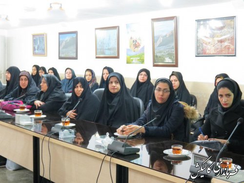 نشست صمیمی بانوان فرهیخته شهرستان گالیکش با فرماندار شهرستان و مدیرکل امور بانوان استانداری گلستان برگزار شد