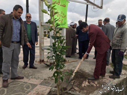 فرماندار و مسئولین شهرستان گالیکش چند اصله نهال غرس کردند