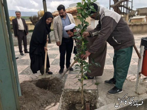 فرماندار و مسئولین شهرستان گالیکش چند اصله نهال غرس کردند