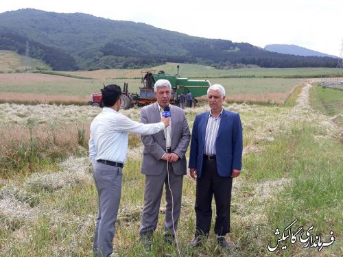 آغاز برداشت محصول کلزا در اراضی کشاورزی شهرستان گالیکش 