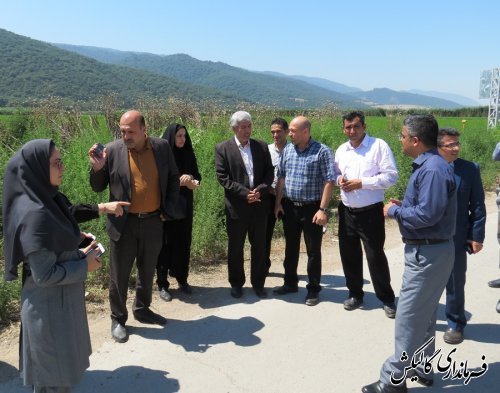 جلسه بررسی طرح هادی شهر جدید صادق‌آباد شهرستان گالیکش برگزار شد