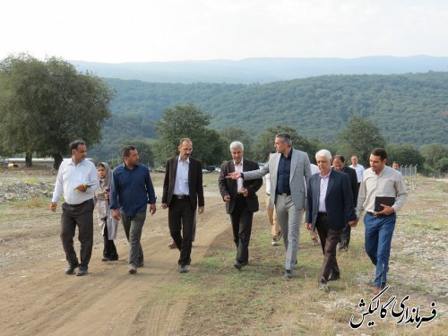 ثمره راه‌اندازی شهرک گیاهان دارویی گالیکش، رونق تولید در منطقه است