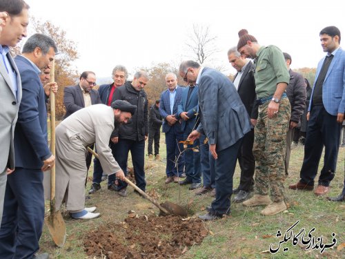 طرح ملی نهضت سبز با شعار نهال‌کاری همگانی برای ایرانی سرسبز در گالیکش برگزار شد