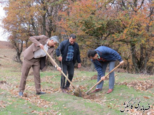 طرح ملی نهضت سبز با شعار نهال‌کاری همگانی برای ایرانی سرسبز در گالیکش برگزار شد