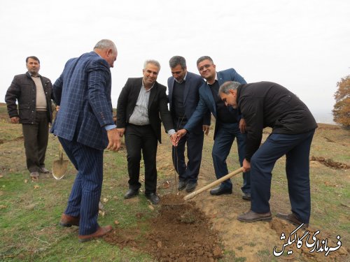 طرح ملی نهضت سبز با شعار نهال‌کاری همگانی برای ایرانی سرسبز در گالیکش برگزار شد