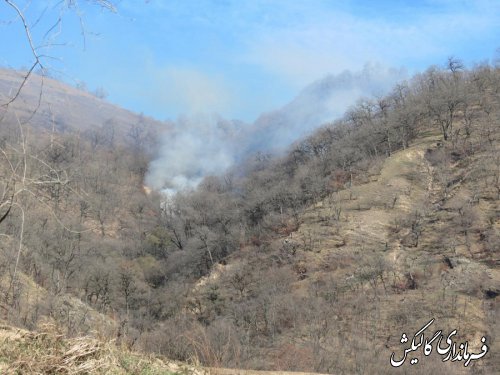 آتش‌ در مناطق جنگلی شهرستان گالیکش مهار شده است