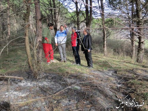 آتش‌ در مناطق جنگلی شهرستان گالیکش مهار شده است