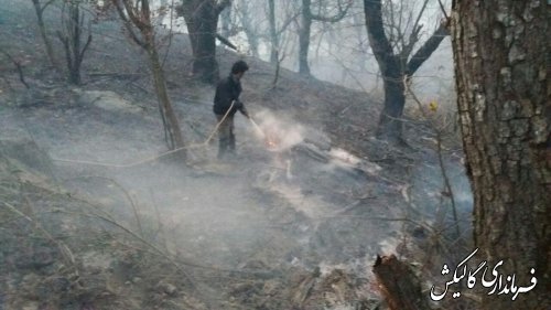 آتش‌ در مناطق جنگلی شهرستان گالیکش مهار شده است