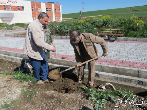 آغاز غرس هزار نهال مثمر در شهرستان گالیکش