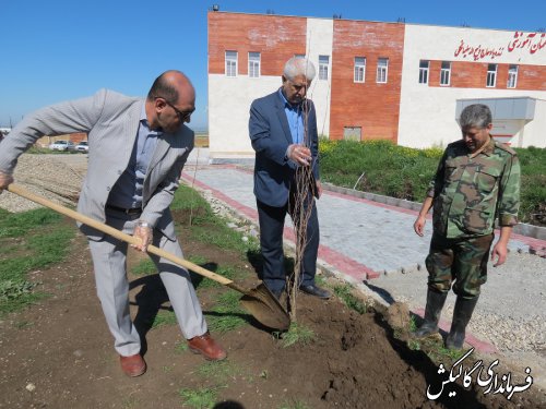 آغاز غرس هزار نهال مثمر در شهرستان گالیکش