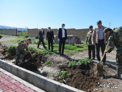 آغاز غرس هزار نهال مثمر در شهرستان گالیکش