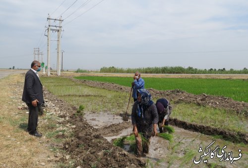 اجرای مصوبات ستاد کرونا در اقصی نقاط شهرستان گالیکش لازم و ضروری است