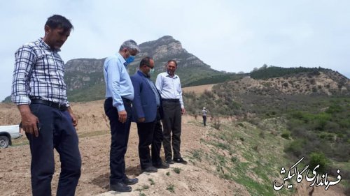 بازدید فرماندار گالیکش از روند آب‌رسانی به روستای قوشه‌چشمه این شهرستان