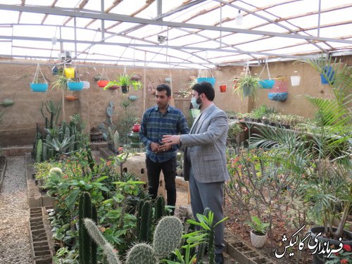 بازدید فرماندار گالیکش از گلخانه کارآفرین شهرستانی در روستای محمود‌آباد 