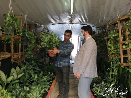 بازدید فرماندار گالیکش از گلخانه کارآفرین شهرستانی در روستای محمود‌آباد 