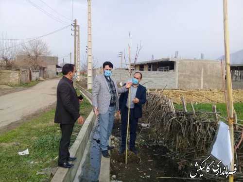 بازدید فرماندار گالیکش از طرح نهال کاری "هر ایرانی یک نهال" در روستای میرزاپانگ