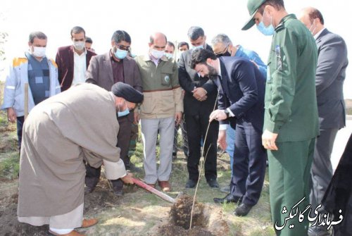 مراسم کاشت نهال در دانشگاه‌ها و کارخانه سیمان شهرستان گالیکش برگزار شد