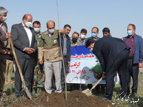 مراسم کاشت نهال در دانشگاه‌ها و کارخانه سیمان شهرستان گالیکش برگزار شد