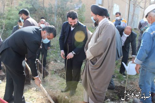 مراسم کاشت نهال در دانشگاه‌ها و کارخانه سیمان شهرستان گالیکش برگزار شد