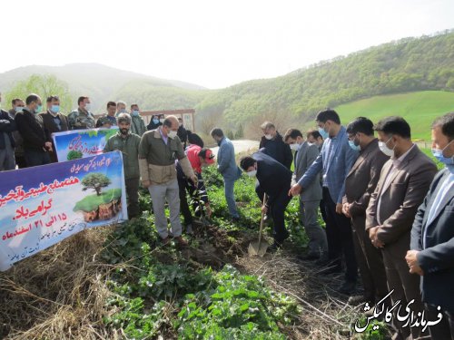 مراسم کاشت نهال در دانشگاه‌ها و کارخانه سیمان شهرستان گالیکش برگزار شد