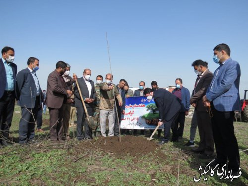 مراسم کاشت نهال در دانشگاه‌ها و کارخانه سیمان شهرستان گالیکش برگزار شد