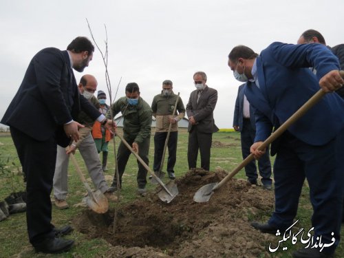 مراسم درختکاری در روستای ینقاق بخش مرکزی گالیکش برگزار شد 