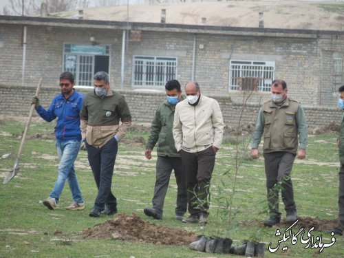 مراسم درختکاری در روستای ینقاق بخش مرکزی گالیکش برگزار شد 