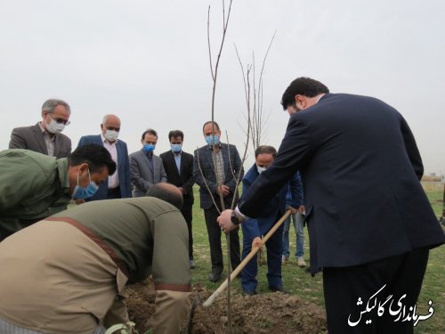 مراسم درختکاری در روستای ینقاق بخش مرکزی گالیکش برگزار شد 