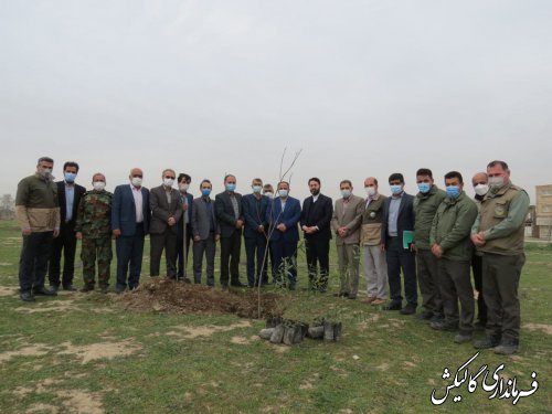 مراسم درختکاری در روستای ینقاق بخش مرکزی گالیکش برگزار شد 