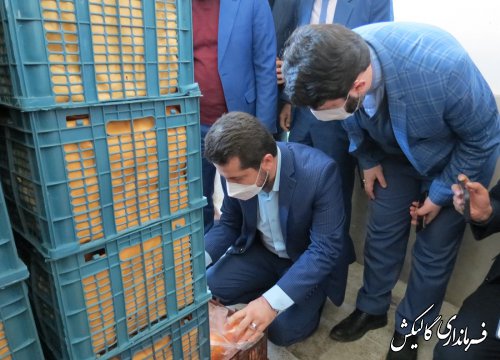 بازدید مشترک معاون اقتصادی استاندار بهمراه فرماندار گالیکش و مدیران استانی از وضعیت بازار در گالیکش