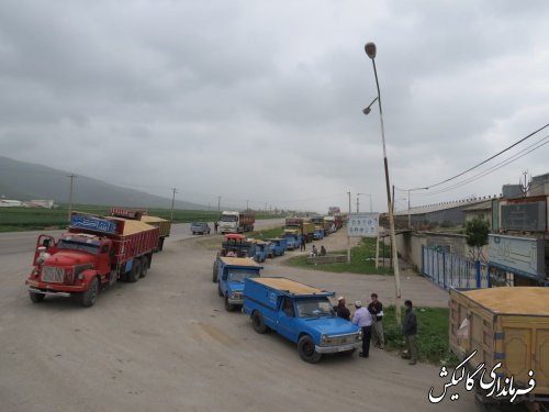 روزانه حدود ۶۵۰ تن گندم با نرخ دولتی در مجتمع ذخیره سازی سیلوی گالیکش خریداری می‌شود