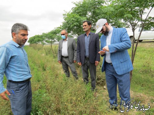 بازدید فرماندار گالیکش بهمراه بخشدار مرکزی و مدیر جهاد کشاورزی شهرستان از مزارع کشاورزی بخش مرکزی 