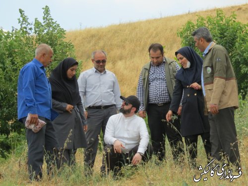 بازدید فرماندار گالیکش از پروژه‌های طرح‌ ترسیب کربن در پنج روستای بخش مرکزی