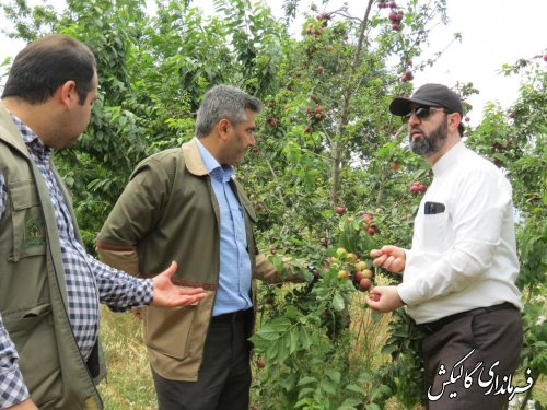 بازدید فرماندار گالیکش از پروژه‌های طرح‌ ترسیب کربن در پنج روستای بخش مرکزی