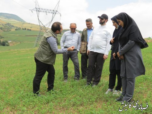 بازدید فرماندار گالیکش از پروژه‌های طرح‌ ترسیب کربن در پنج روستای بخش مرکزی