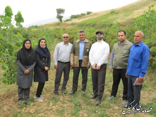 بازدید فرماندار گالیکش از پروژه‌های طرح‌ ترسیب کربن در پنج روستای بخش مرکزی