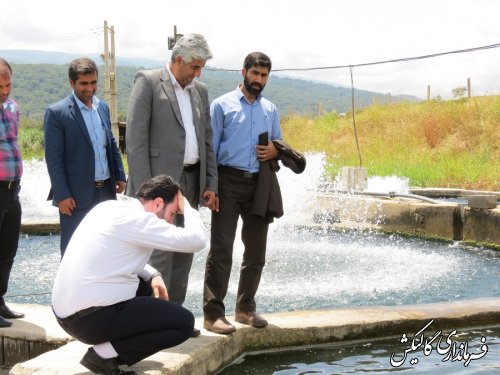 بازدید فرماندار گالیکش از دو مزرعه پرورش ماهی قزل‌آلا در شهرستان