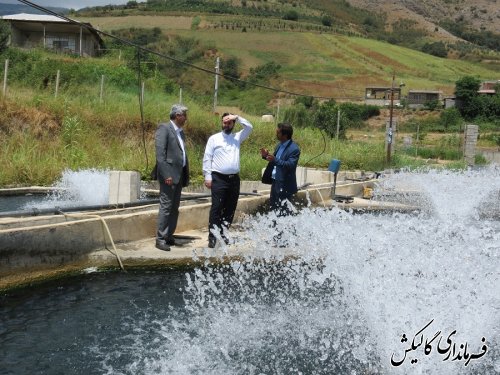 بازدید فرماندار گالیکش از دو مزرعه پرورش ماهی قزل‌آلا در شهرستان