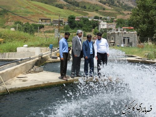 بازدید فرماندار گالیکش از دو مزرعه پرورش ماهی قزل‌آلا در شهرستان