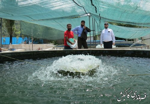 بازدید فرماندار گالیکش از دو مزرعه پرورش ماهی قزل‌آلا در شهرستان