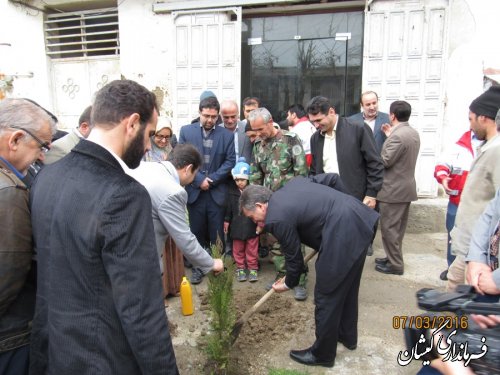 غرس نهال توسط اعضای شورای اداری شهرستان گمیشان