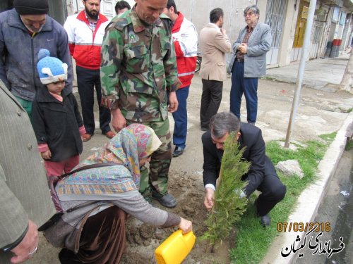 غرس نهال توسط اعضای شورای اداری شهرستان گمیشان